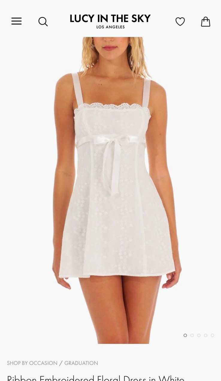 LUCY IN THE SKY White Floral Ribbon Embroidered A-Line Mini Dress Straight S