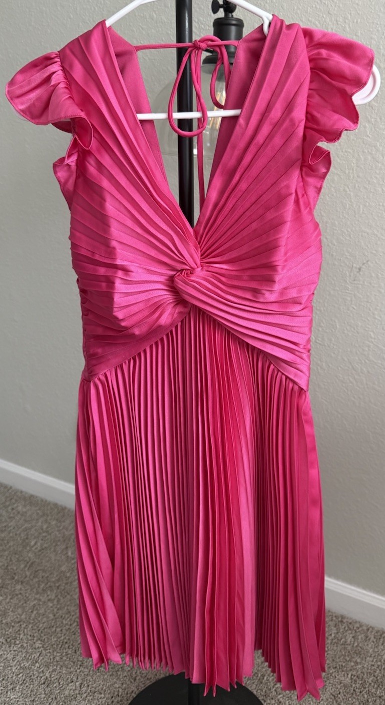 Moon River Pink A-Line Mini Dress XS Sleeveless V-Neck Pleated Ruffle
