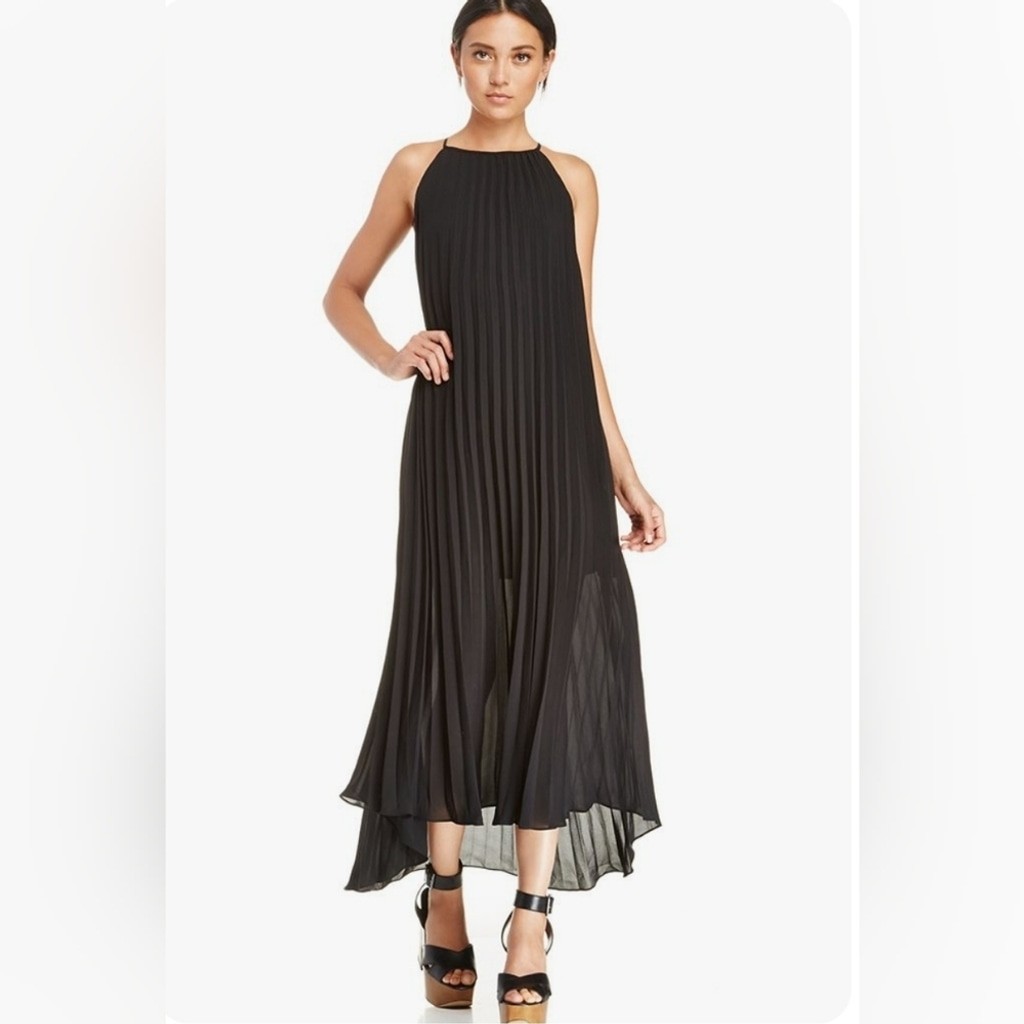 EUC Line & Dot Black Pleated Maxi Dress