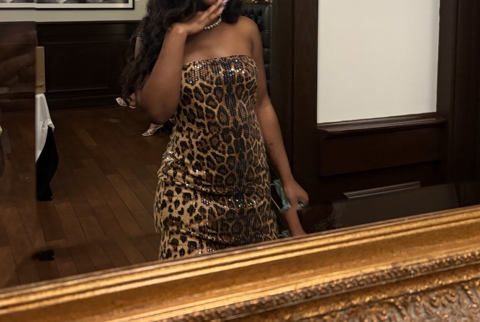 Women’s Strapless Leopard Sequin Stretch Mini Bodycon Dress Brown/Black/Gold S