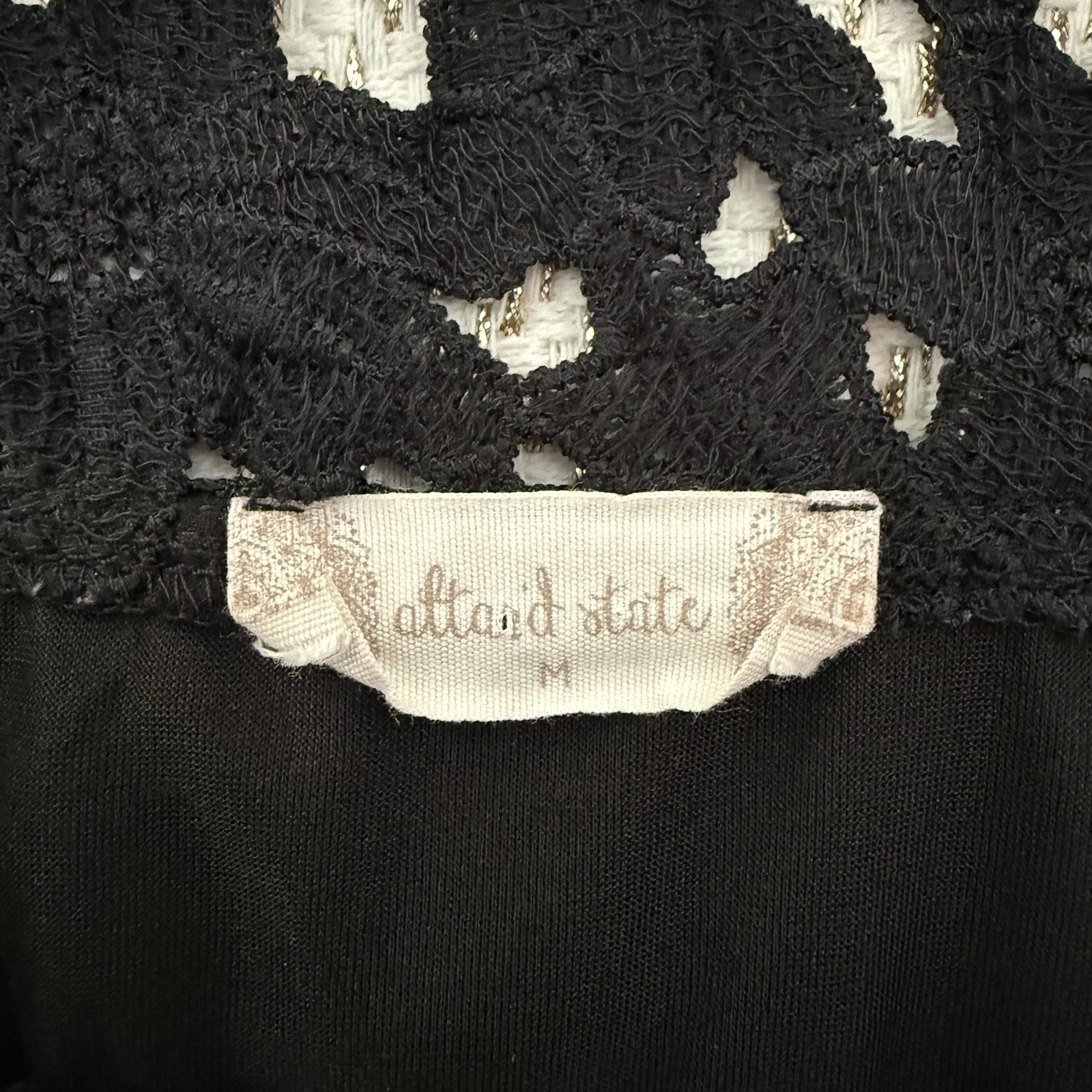 Altar’d State Size Medium Elegant Black Embroidered Lace Pleated Dress