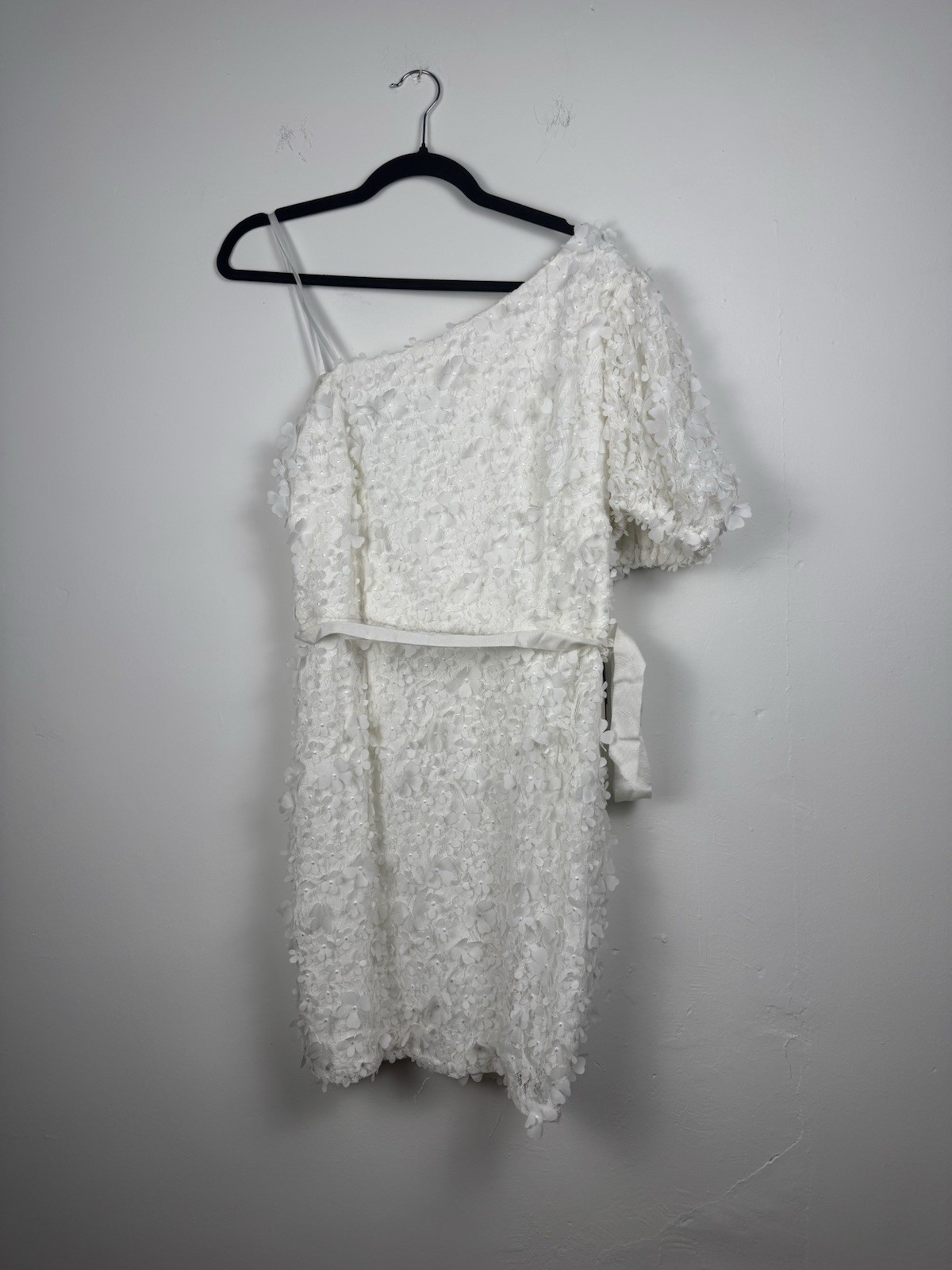 Adrianna Papell Ivory Embroidered Floral Lace Dress Size 16