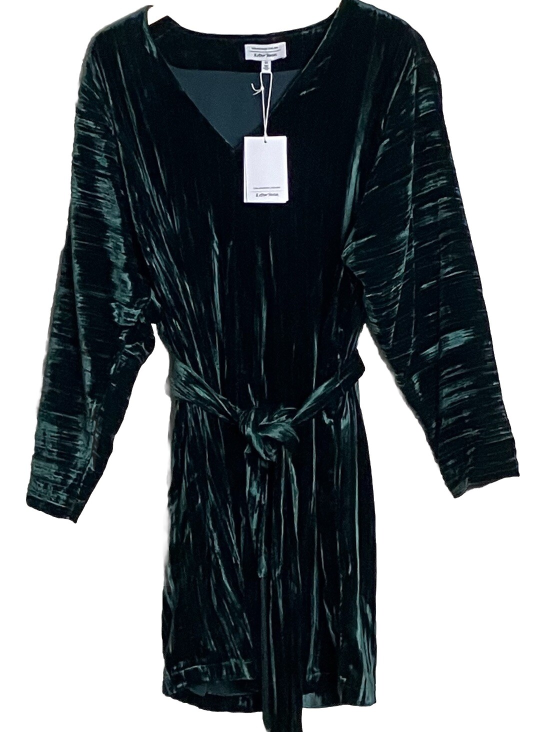 & Other Stories Velvet Burnout Dress Size 8 with Fringe Belt Green Boho
