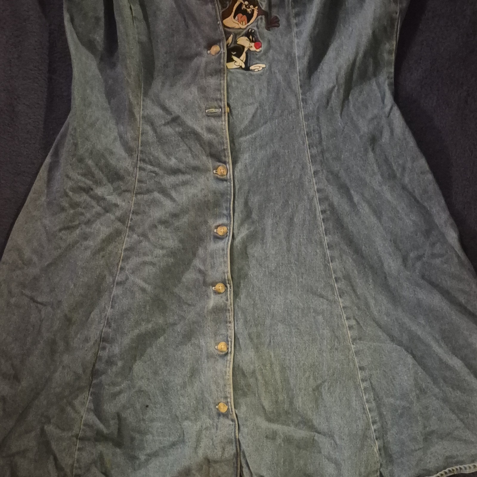 Warner Bros. Studio Store Blue Denim Embroidered Cartoon Button Dress 12
