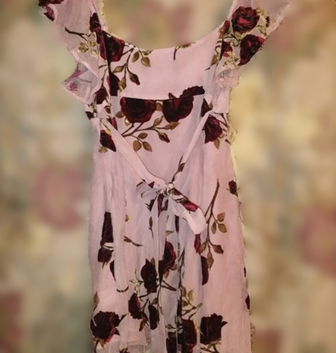 For Love And Lemons “Rose” Velvet Mini Dress