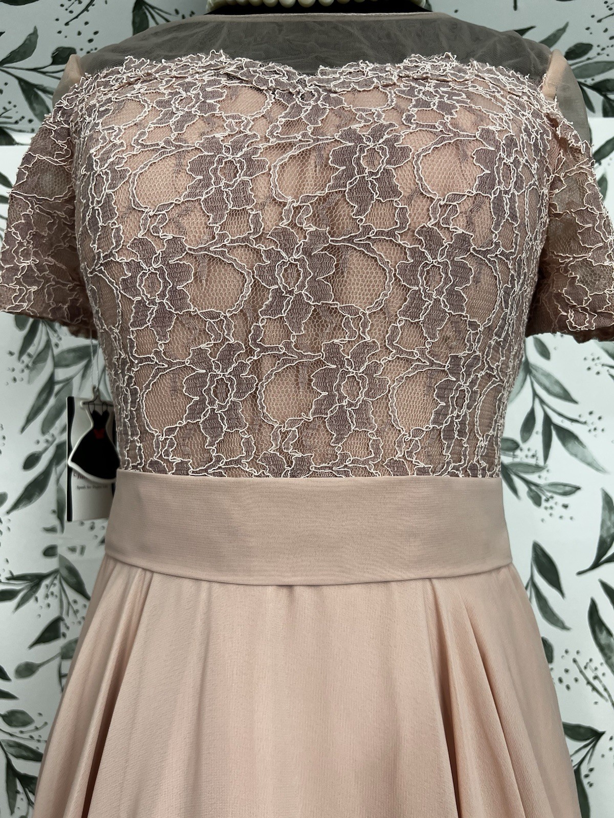 Elegant Blush Pink Lace Evening Gown Prom wedding Guest Sz S 6 NWT Bridesmaid #E