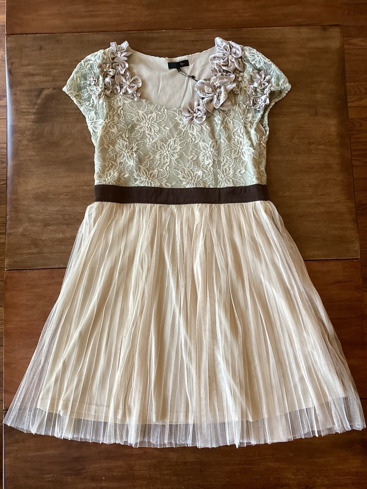 NWT RYU Boutique Mini-Dress Short Sleeved Lace Pleated A-Line Fit & Flare Large