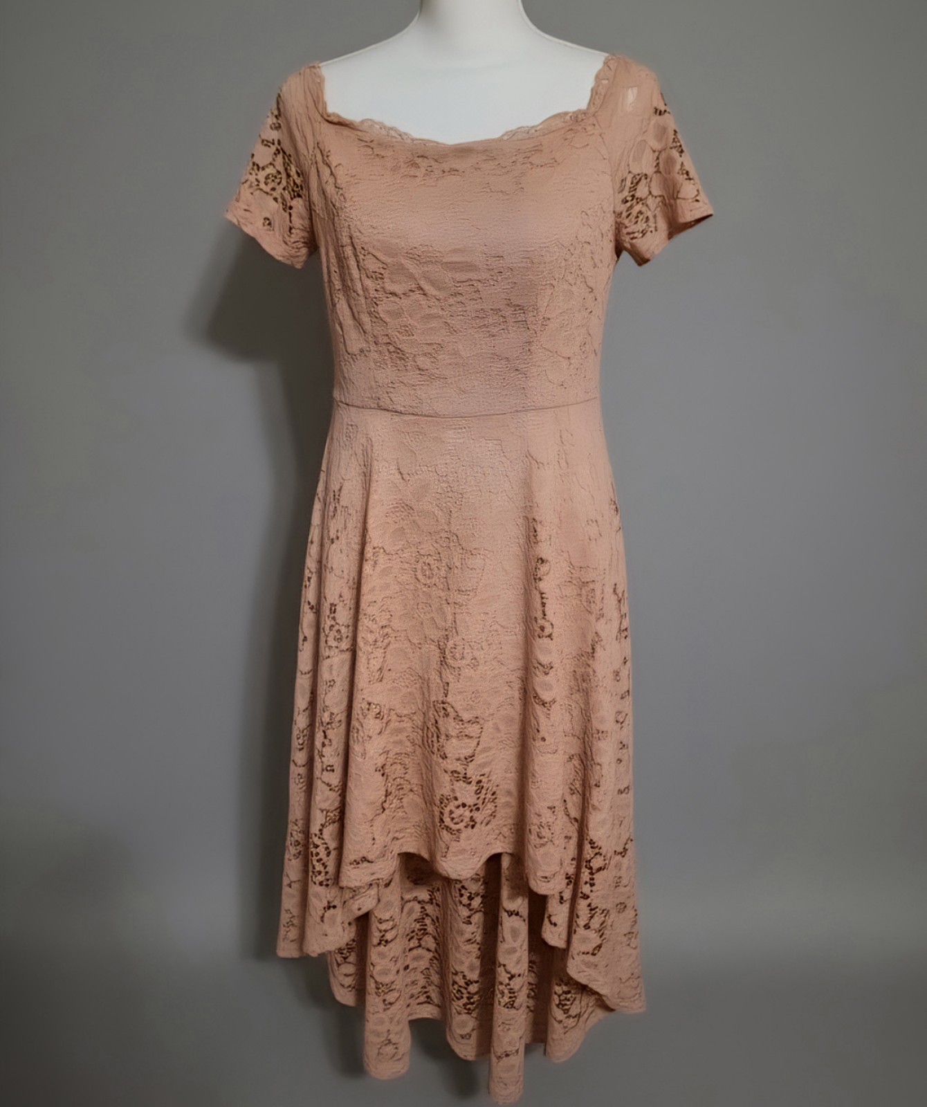 Design Blush Pink Lace High Low Dress