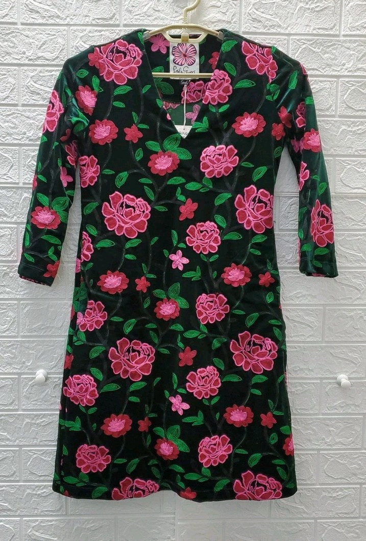 New Lesley Evers Daphine Embroidered Velvet V Neck Dress Multicolor Size Small