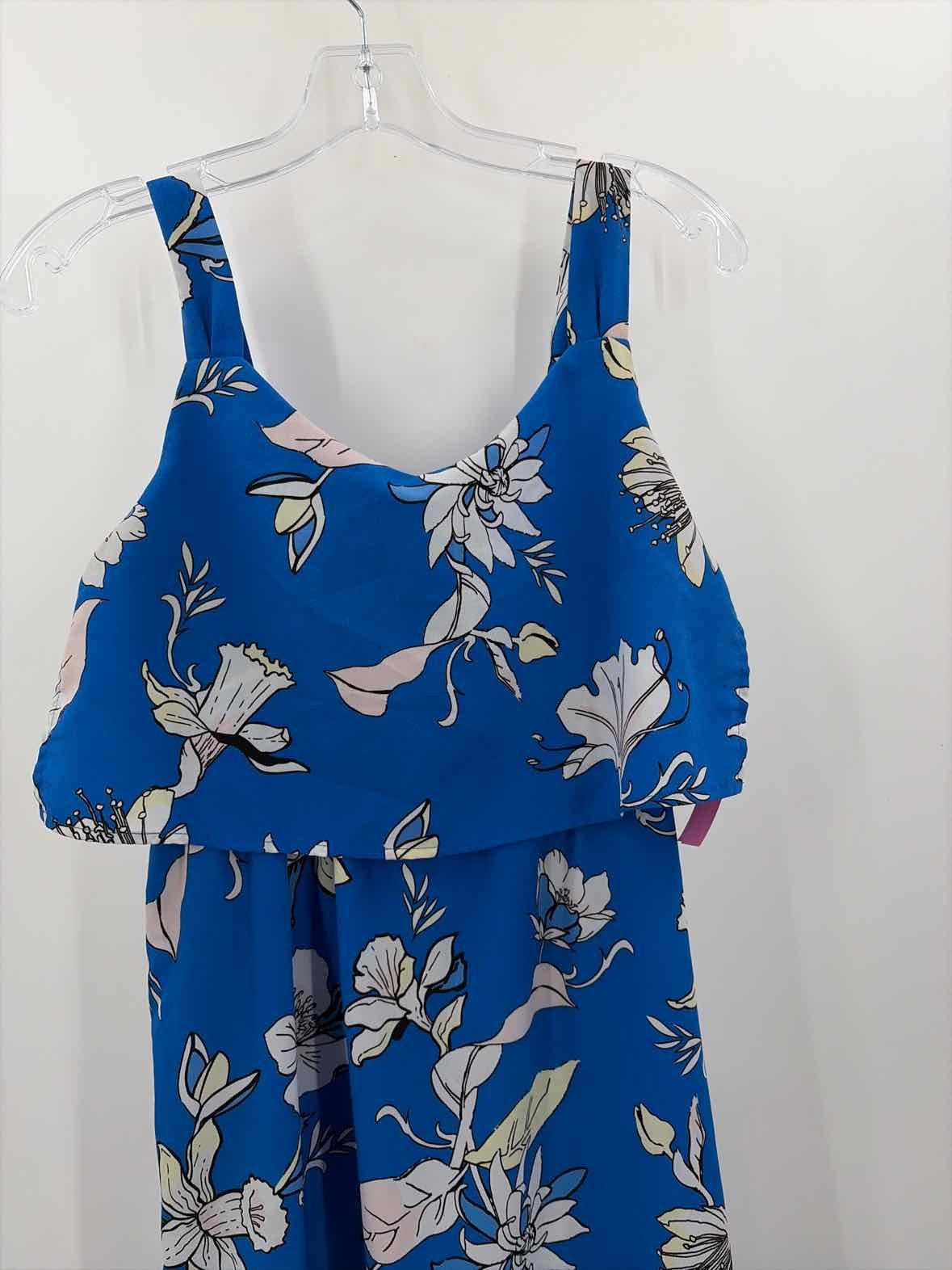 Pre-Owned Carolina Belle Blue Size 2 Floral Maxi Sleeveless Dress