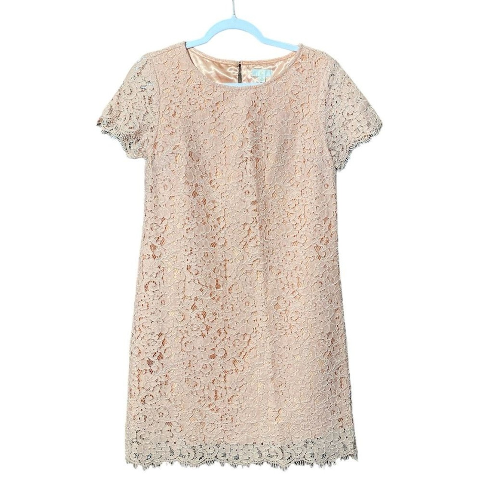 C Pink Girly Girl Sweet Lace Sheath Cocktail Mini Dress Women’s Size Small