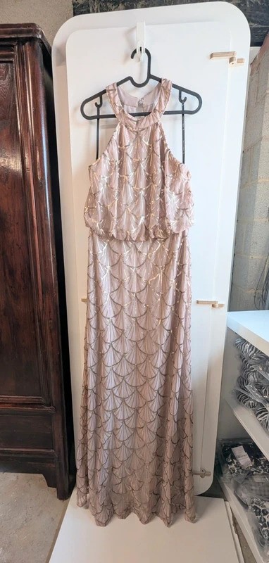 Sorella Vita Beaded Maxi Bridesmaid Dress UK 14 BNWT Blush Pink Occasion