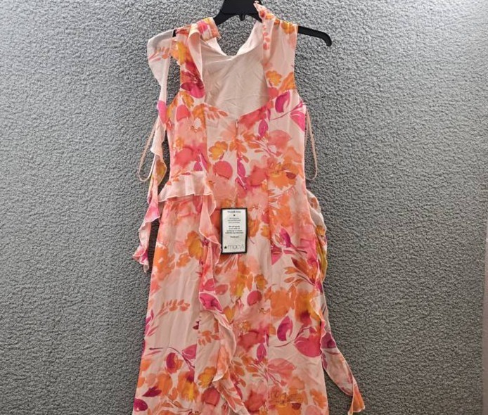 Eliza J Printed Ruffle-Trims Chiffon Dress Women’s 8 Blush Multi Zip/Button