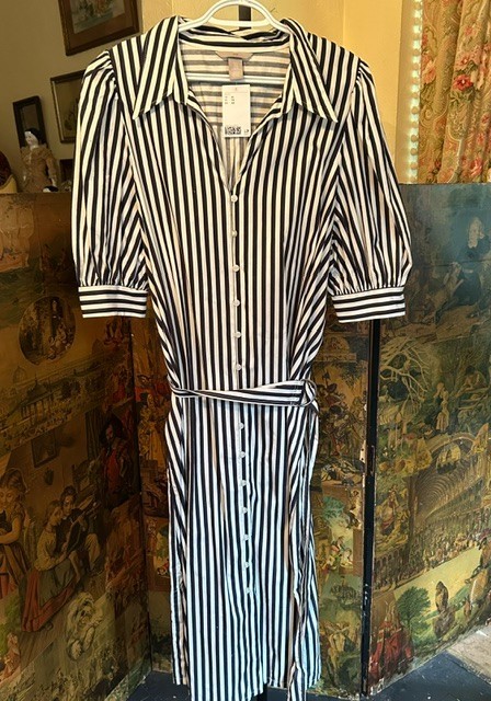 H&M Cotton Shirtwaist Dress XL NWT