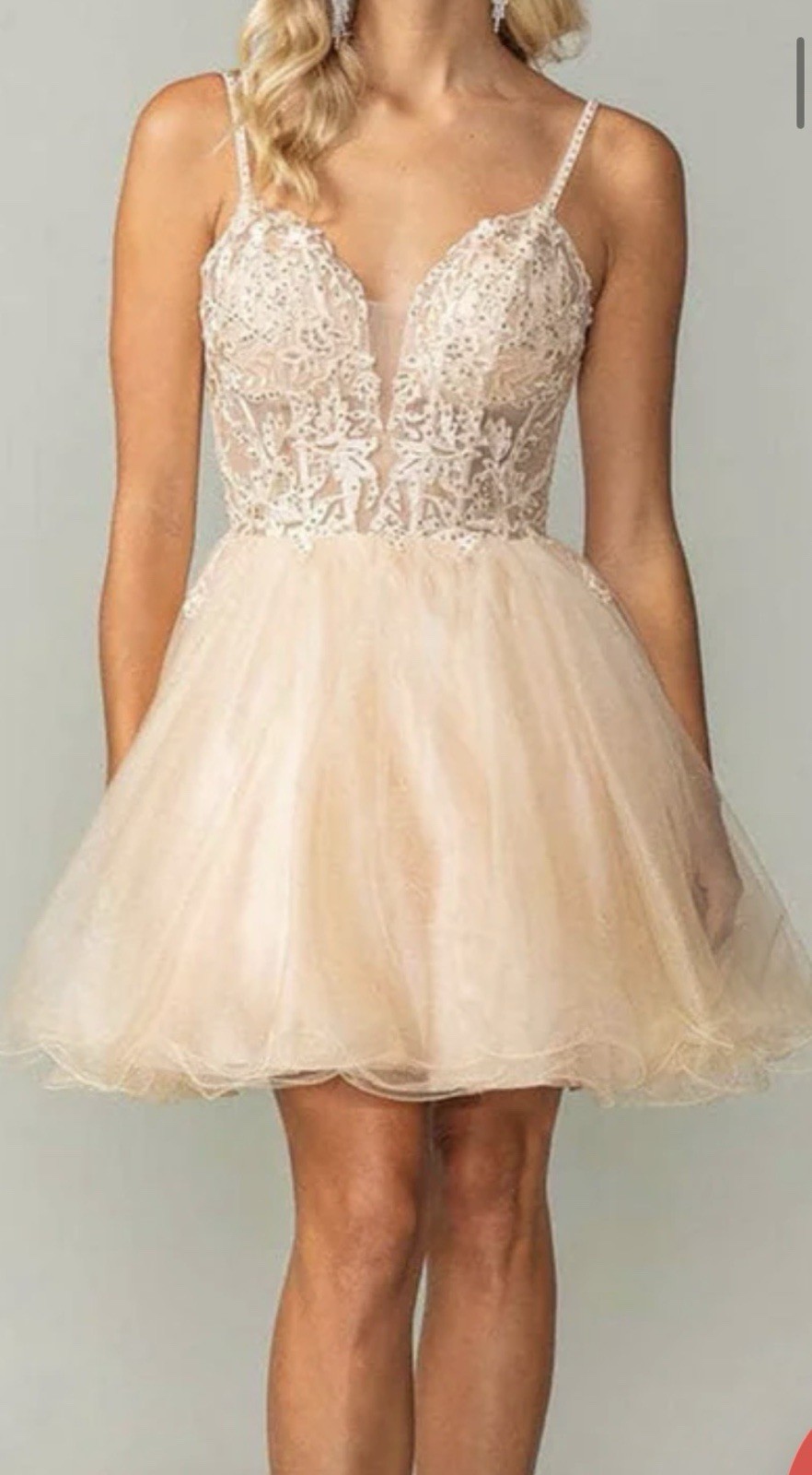 Dancing Queen 3398 – Beaded Applique V-Neck Tulle Dress