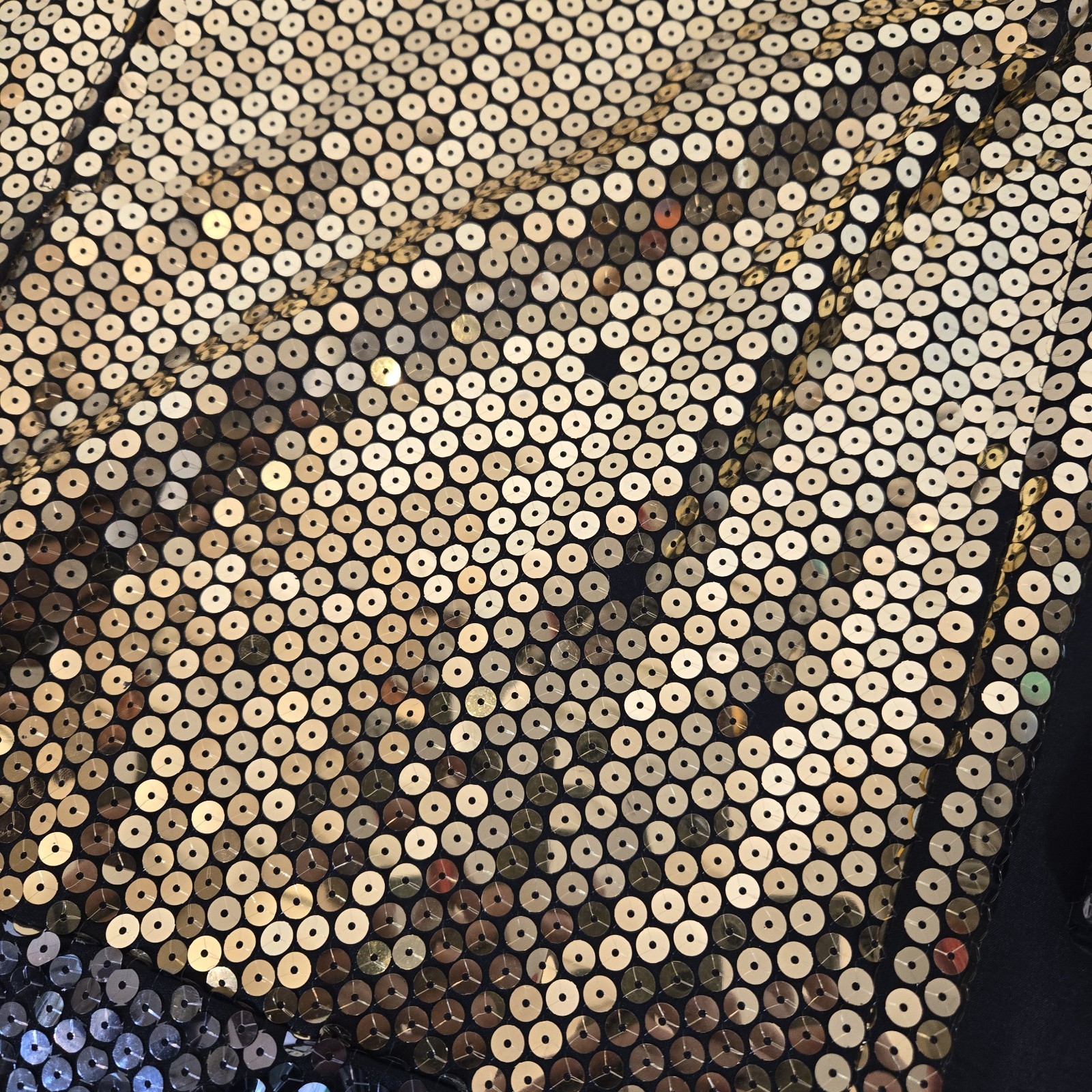 PROJECT Rimini Vintage Sequin Dress Size 10
