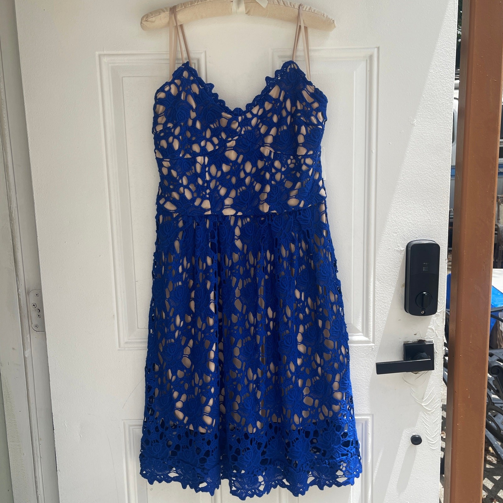Alexia Admor Cobalt Blue Lace Fit & Flare Cocktail Dress NWT Medium