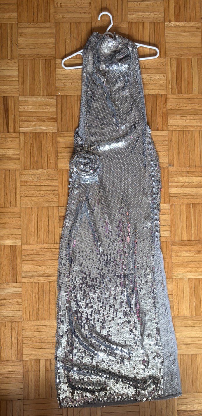 Magda Butrym X H&M – SILVER SEQUIN ROSE APPLIQUE MAXI DRESS – size Small