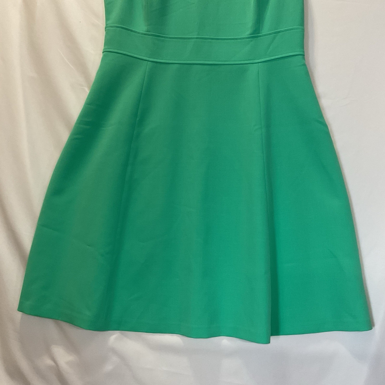 Evan Picone Black Label Spring Green Women’s Sleeveless Fit & Flare Dress Sz 14
