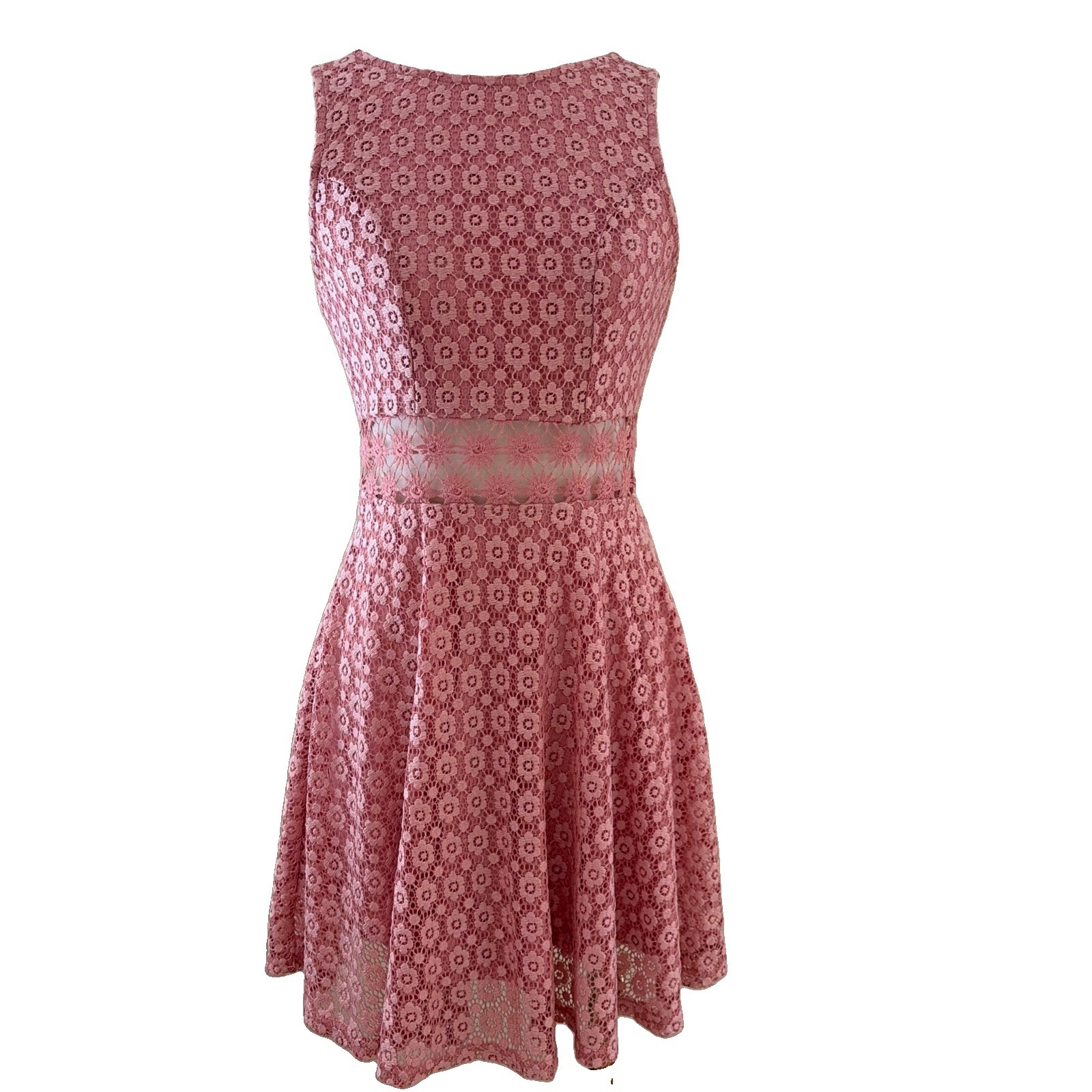 Iris Lace Fit & Flare Skater Mini Dress Size S Pink Sheer Floral Feminine Fairy