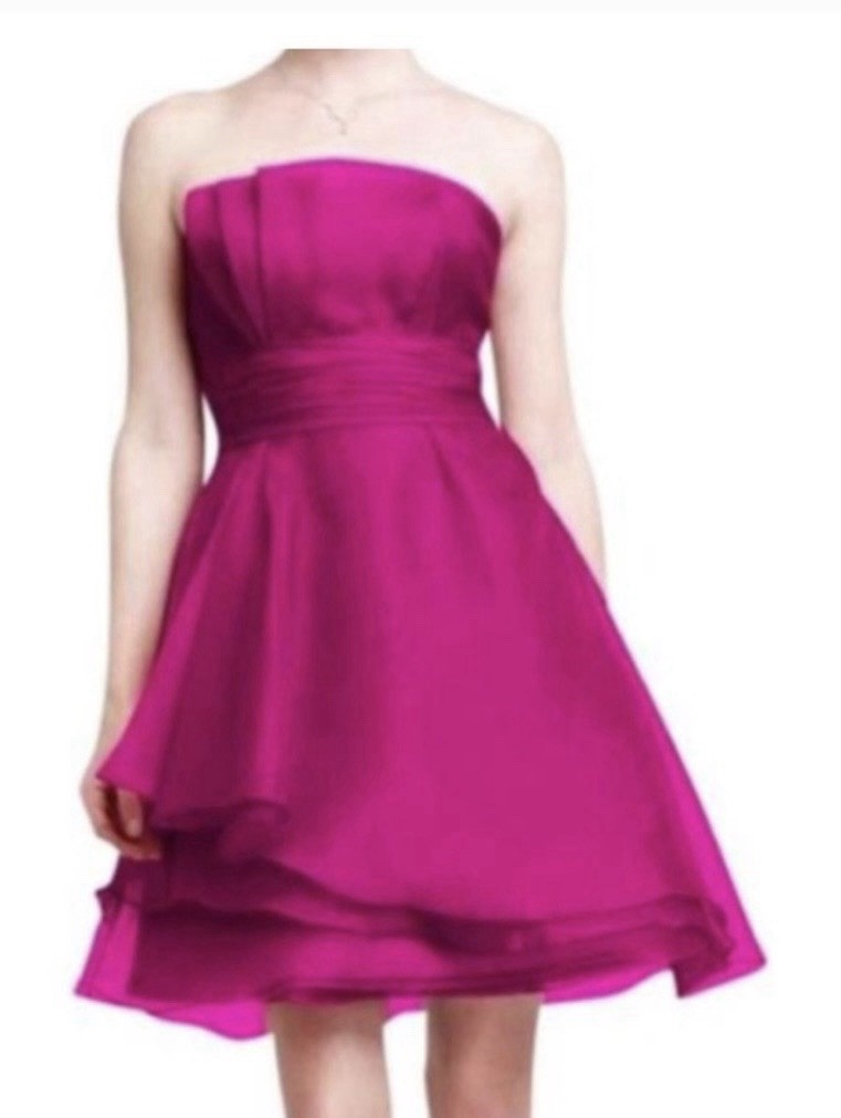 Women’s Short Strapless Organza Dress Ruched Waist Size 14 Party Fairy Coquette