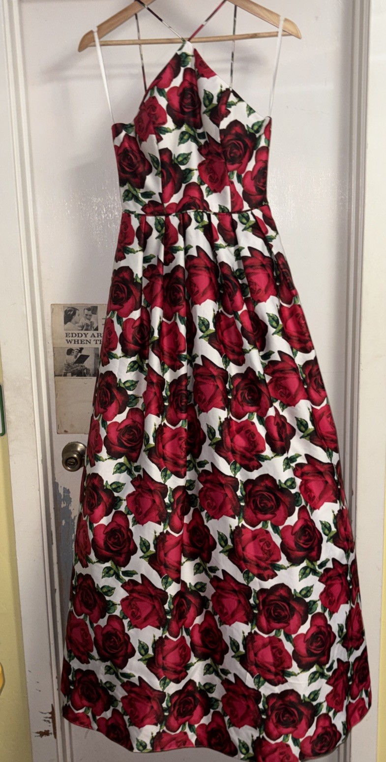 Blondie Nites Stacy Sklar Formal Dress Size 1 Juniors Rose Print Spaghetti Strap