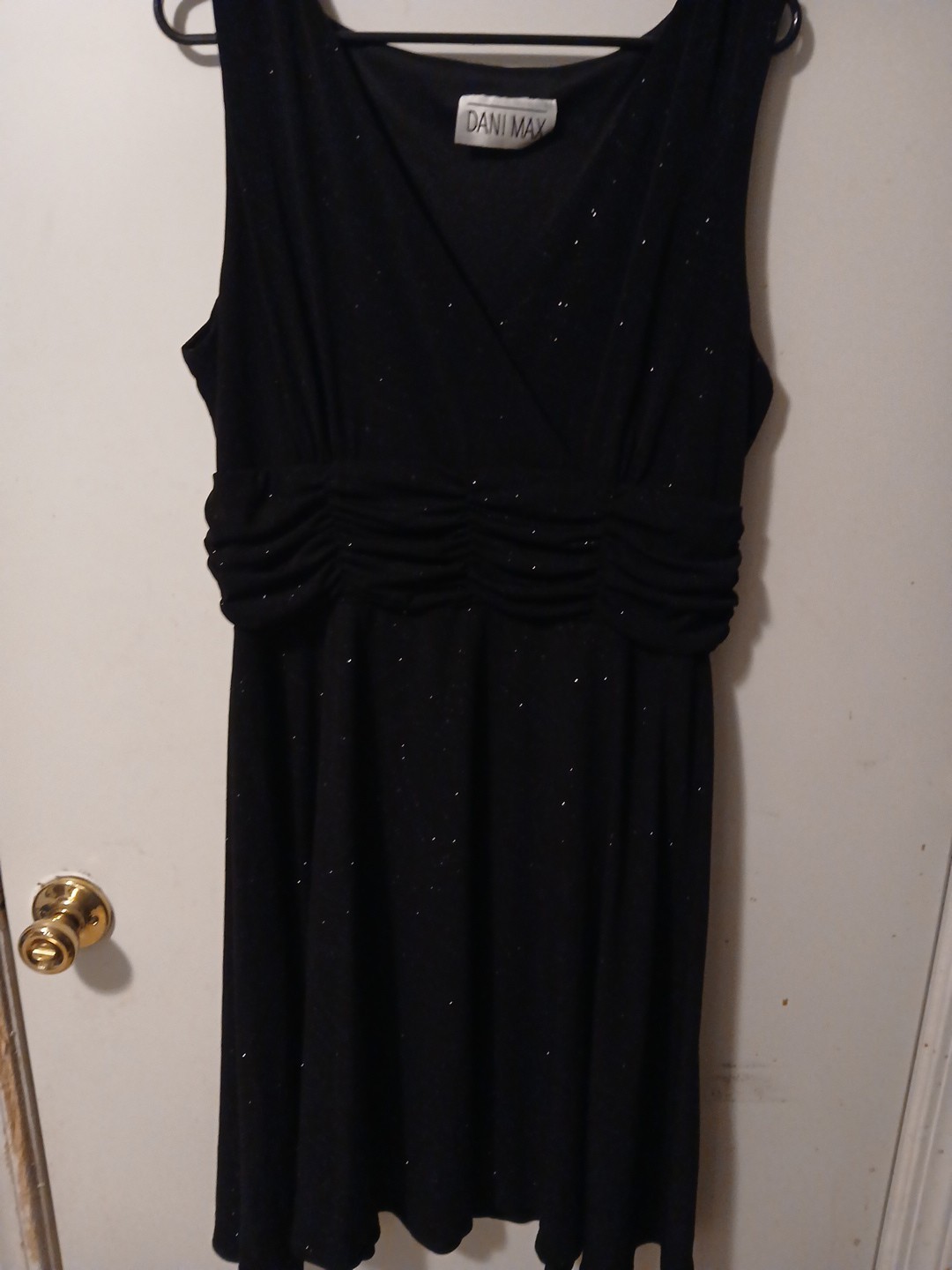 dani max dress xl